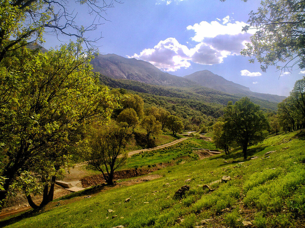 کوه-کلنگ (1)