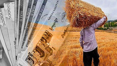 پرداخت تازه به گندم‌کاران انجام شد؛ مطالبات کشاورزان به مرحله جدید رسید