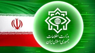 ۳۱ بازداشتی در سیرجان؛ وزارت اطلاعات از کشف شبکه‌های سازمان‌یافته خبر داد