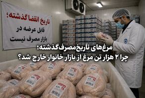 مرغ‌های تاریخ‌مصرف‌گذشته؛ چرا ۲ هزار تن مرغ از بازار خانوار خارج شد؟
