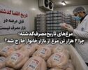 مرغ‌های تاریخ‌مصرف‌گذشته؛ چرا ۲ هزار تن مرغ از بازار خانوار خارج شد؟