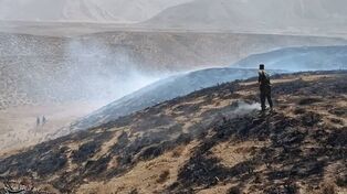 حریق در مراتع دو روستای قزوین پس از ساعت‌ها تلاش خاموش شد