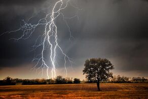 رعدوبرق در مراغه قربانی گرفت؛ چوپان ۳۵ ساله جان باخت