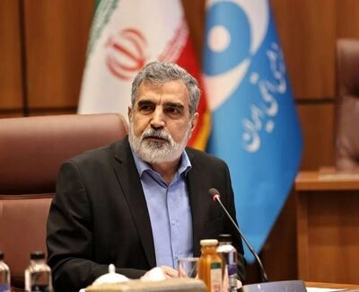 تأکید سخنگوی سازمان انرژی اتمی بر اراده ایران برای دفاع از کشور