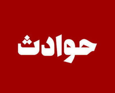 قتل هولناک کارمند بیمارستان پیوند اعضای شیراز؛ همکارش با انگیزه سرقت دستگیر شد