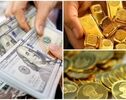 بروزترین نرخ ارز دلار، طلا و یورو امروز دوشنبه ۳۰ شهریور ۱۴۰۵