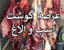 توزیع ۲۵۴ کیلوگرم گوشت الاغ و اسب در تهران؛ دستگیری ۵ نفر از عوامل اصلی