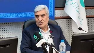 واگذاری فعالیت‌های اقتصادی به بخش خصوصی الزامی است
