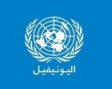 جنوب لبنان روی خط آبی؛ یونیفل اجرای قطعنامه ۱۷۰۱ را کلید ثبات دانست