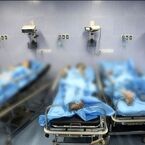 اسفناج آلوده به گیاه سمی در بجنورد؛ یک بازداشت پس از مسمومیت شهروندان
