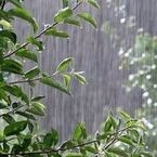 باران از شنبه‌شب به تهران می‌رسد؛ پیش‌بینی وضعیت هوای پایتخت در روزهای آینده