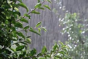 هشدار نارنجی؛ بارش‌های شدید در جنوب کرمان