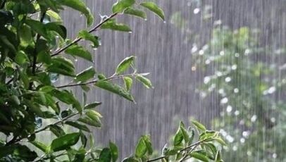 پیش بینی آب و هوای استان ها امروز دوشنبه ۱۲ مرداد ۱۴۰۵