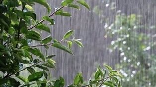 پیش بینی آب و هوای استان ها امروز دوشنبه ۱۲ مرداد ۱۴۰۵