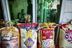افزایش واردات، قیمت برنج پاکستانی را در بازار ایران کاهش داد