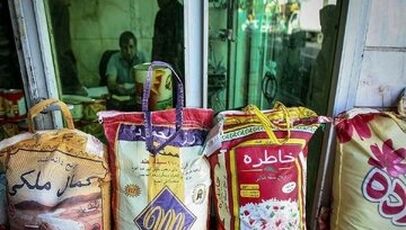 هاشمی در صدر بازار برنج؛ جدول قیمت‌های ۵ شهریور