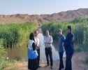 منشأ بوی نامطبوع و هجوم حشرات در رودخانه شور پرند چیست؟