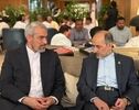 مدنی‌زاده برای اجلاس وزرای دارایی بریکس وارد بمبئی شد