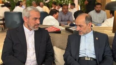 مدنی‌زاده برای اجلاس وزرای دارایی بریکس وارد بمبئی شد