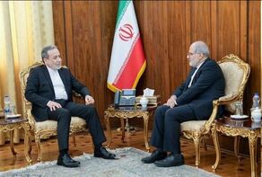 عراقچی با سفیر ایران در ایرلند دیدار کرد