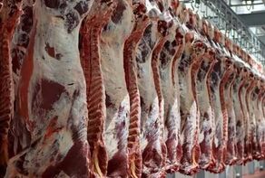 حذف سقف و سابقه برای واردات گوشت و محصولات کشاورزی