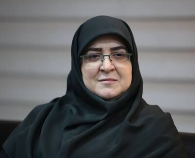 واکنش سخنگوی دولت به حمله با سنگ به عراقچی