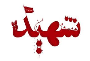 واکنش مدیرکل حفاظت محیط زیست هرمزگان به شهادت خانواده محیط‌بان در حمله آمریکا