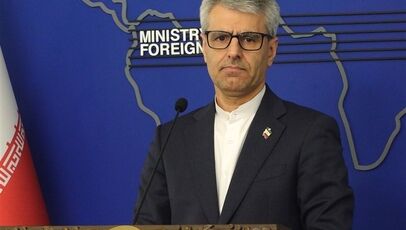ایران از تلاش نیجر برای حفظ حاکمیت ملی حمایت کرد