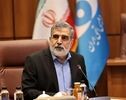 آمریکا در رأی‌گیری آژانس شکست خورد