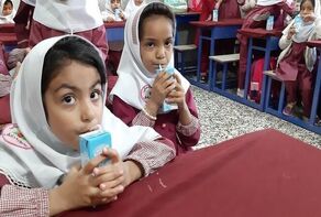 چالش‌ها و دستاوردهای برنامه «شیر مدارس»؛ از کمبود بودجه تا توزیع درب منزل