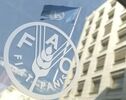 افزایش دوباره قیمت جهانی مواد غذایی تحت تأثیر تنش‌های ژئوپلیتیک