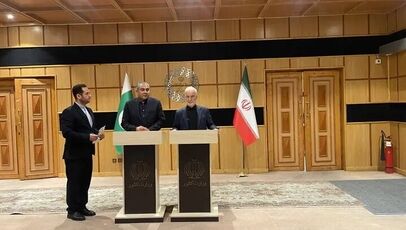 وزیر کشور پاکستان از انتقال پیام مقام‌های اسلام‌آباد به پزشکیان خبر داد
