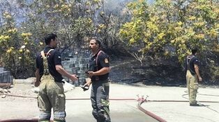دود مشاهده‌شده در شمال تهران مربوط به آتش‌سوزی فضای سبز اوین است