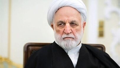 تأکید محسنی اژه‌ای بر «وحدت ملی» و «پرهیز از سیاه‌نمایی»