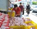 مرغ ۳۲۵ هزار تومانی؛ موج تازه گرانی به سفره‌ها می‌رسد؟