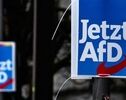 تهدید واشنگتن علیه مخالفان AfD؛ اختلاف بر سر این حزب به آلمان محدود نماند